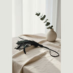 Black pleasure feather for sensory processing wellness in a natural loft sanctuary.