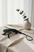 Black pleasure feather for sensory processing wellness in a natural loft sanctuary.
