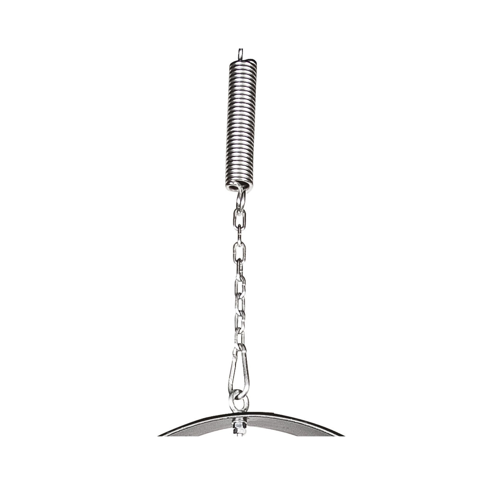 Heavy-duty spring and anchor point chain hardware ensuring structural integrity and physical trust.