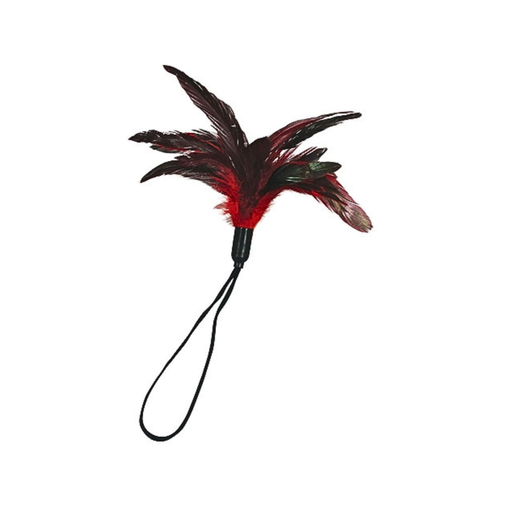 Red pleasure feather for predictable tactile feedback and gentle sensory wellness.